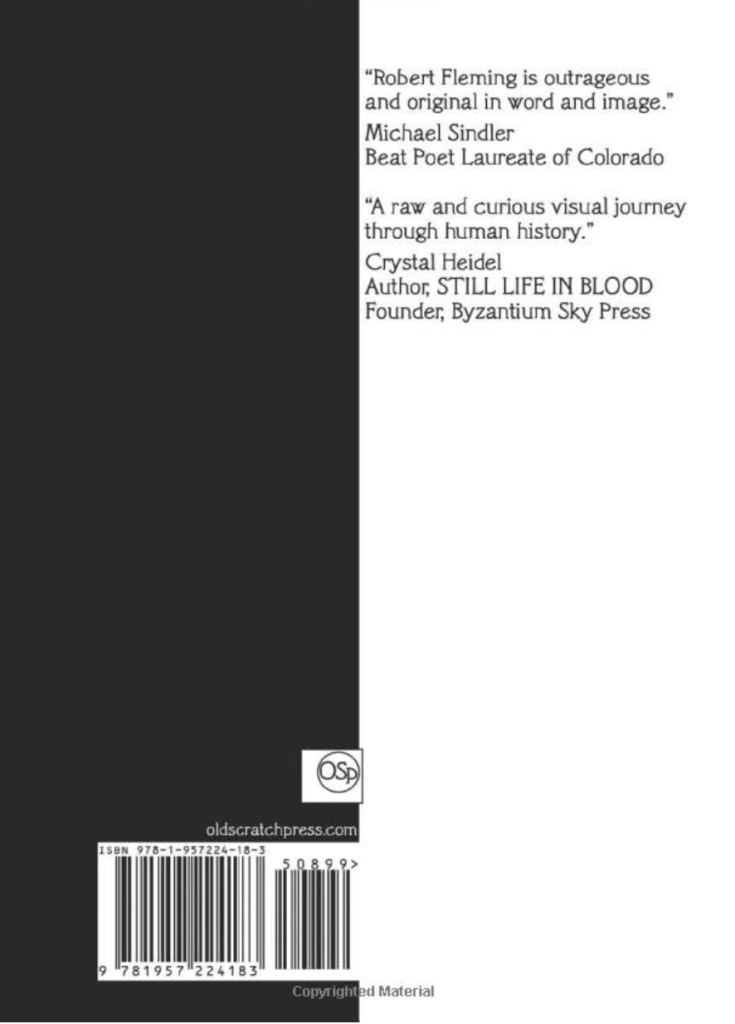 A book cover of 'white noir' by Robert Fleming featuring a striking design that blends visual art with poetry.